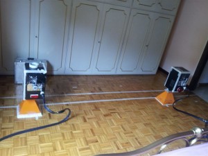 Trattamento antitarlo su parquet