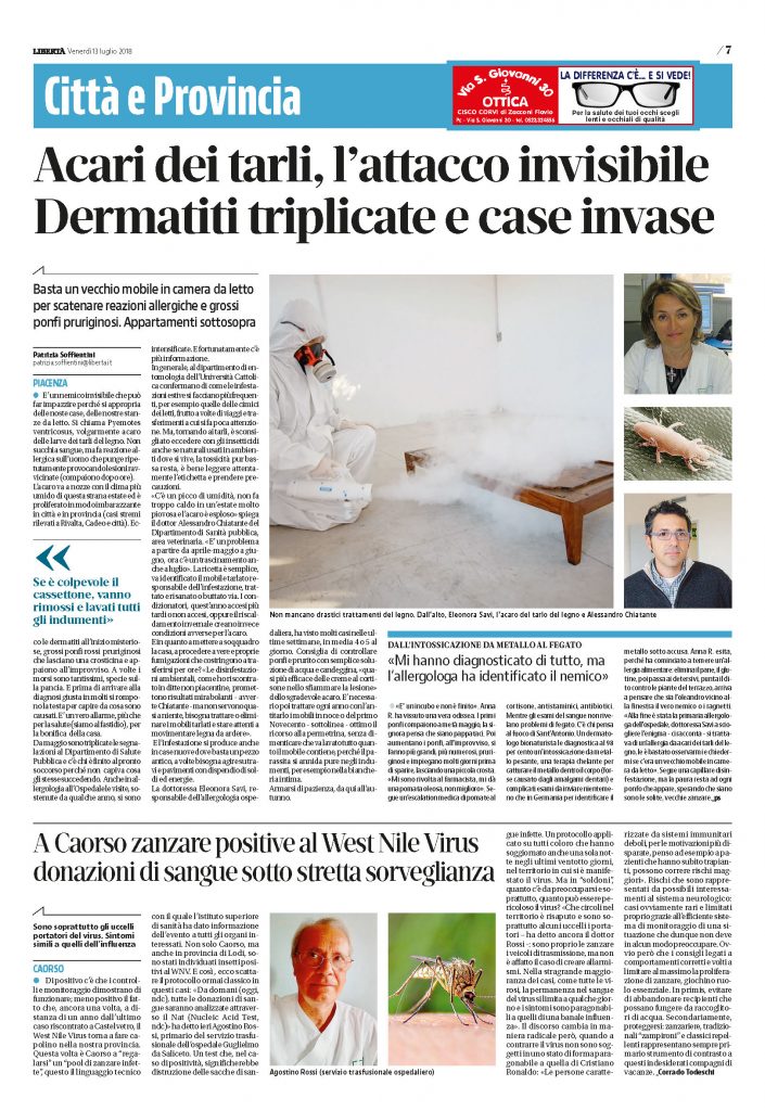 Emergenza acari dei tarli Emergenza acari dei tarli